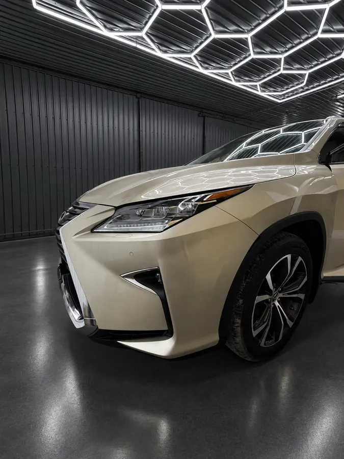 Lexus RX под сотами